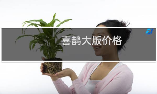 喜鹊大版价格