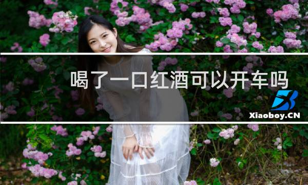 喝了一口红酒可以开车吗