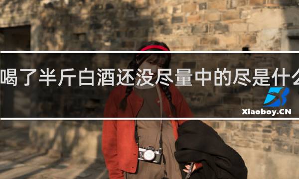 喝了半斤白酒还没尽量中的尽是什么意思