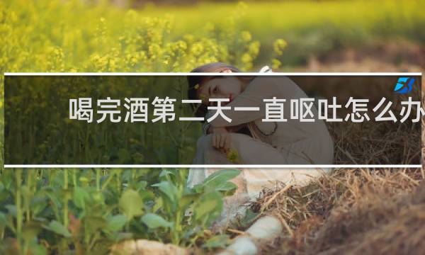 喝完酒第二天一直呕吐怎么办