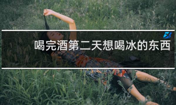 喝完酒第二天想喝冰的东西