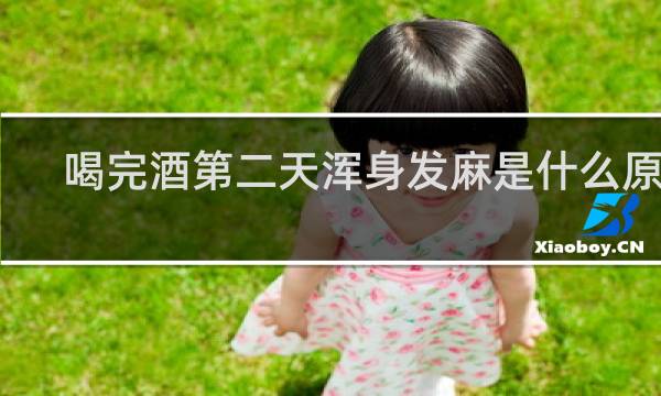 喝完酒第二天浑身发麻是什么原因