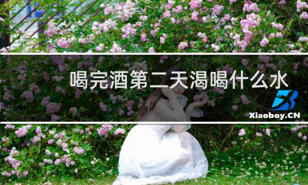 喝完酒第二天渴喝什么水
