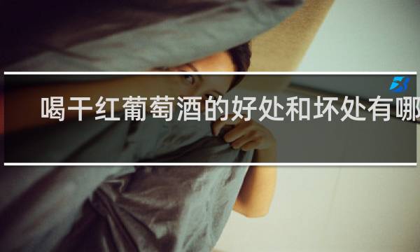 喝干红葡萄酒的好处和坏处有哪些