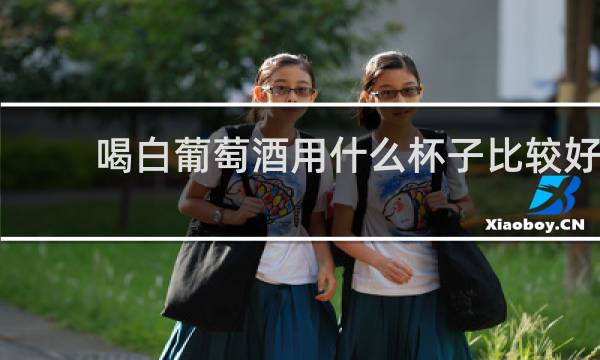 喝白葡萄酒用什么杯子比较好