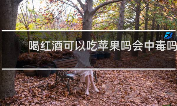 喝红酒可以吃苹果吗会中毒吗