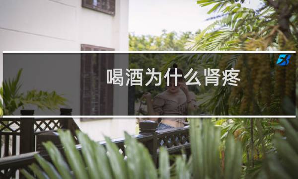 喝酒为什么肾疼