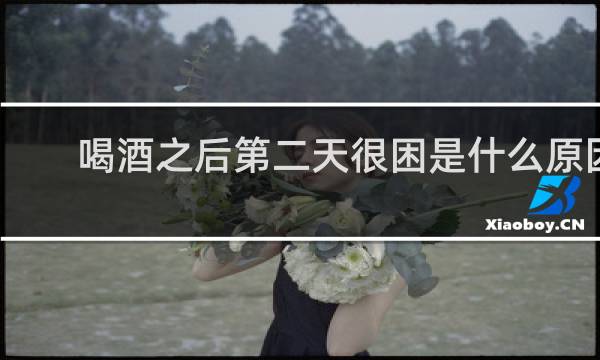 喝酒之后第二天很困是什么原因