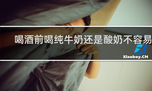 喝酒前喝纯牛奶还是酸奶不容易醉