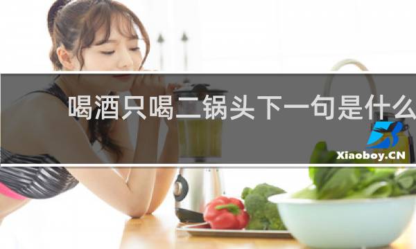 喝酒只喝二锅头下一句是什么