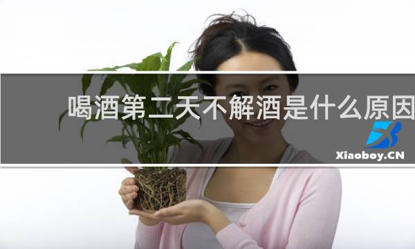 喝酒第二天不解酒是什么原因