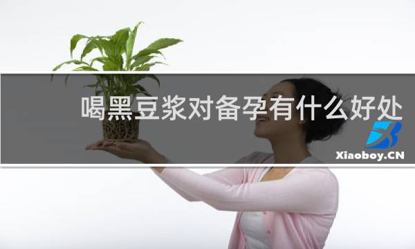喝黑豆浆对备孕有什么好处