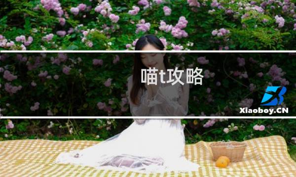 喵t攻略
