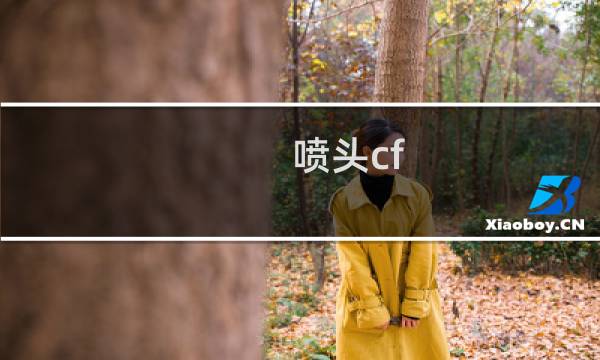 喷头cf-20s代表什么