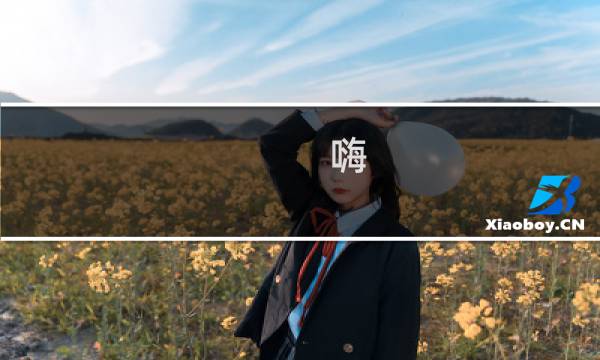 嗨 大神 攻略