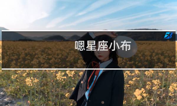 嗯星座小布