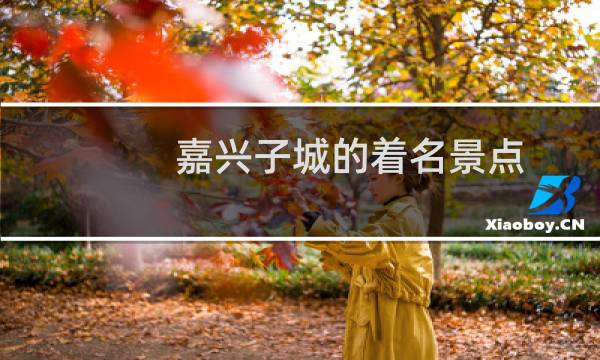 嘉兴子城的着名景点