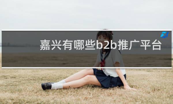 嘉兴有哪些b2b推广平台
