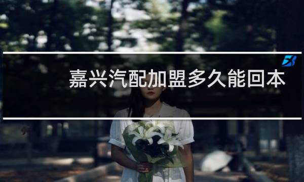 嘉兴汽配加盟多久能回本