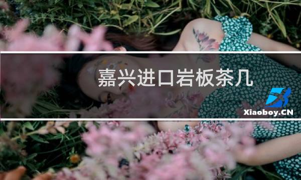 嘉兴进口岩板茶几