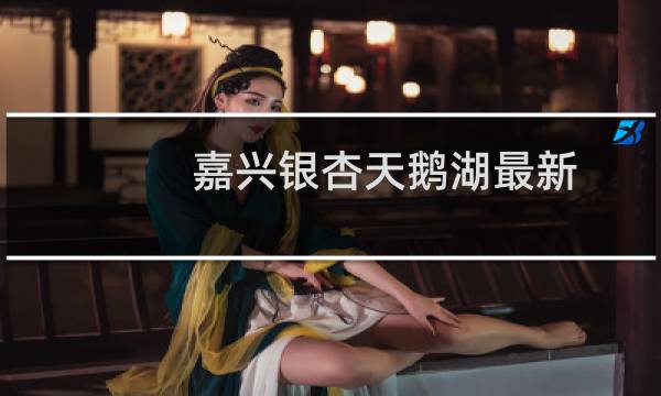 嘉兴银杏天鹅湖最新