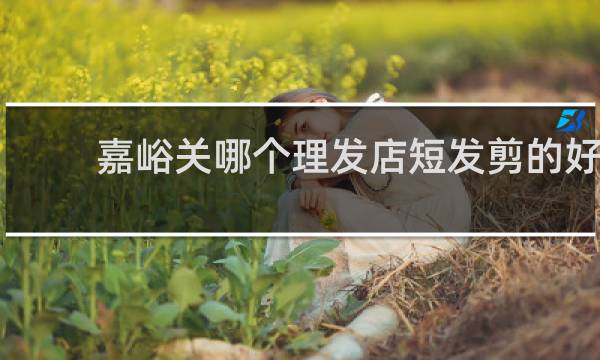 嘉峪关哪个理发店短发剪的好