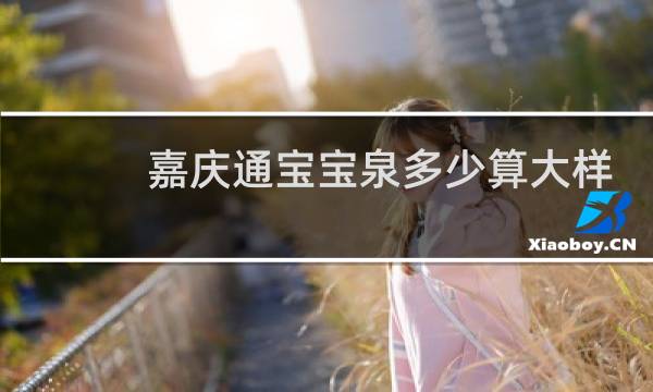 嘉庆通宝宝泉多少算大样