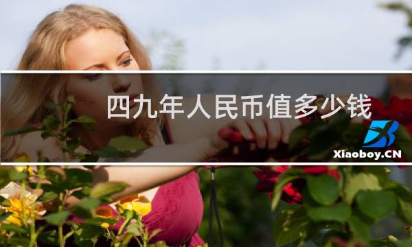 四九年人民币值多少钱