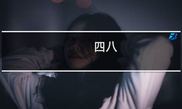 四八()攻略