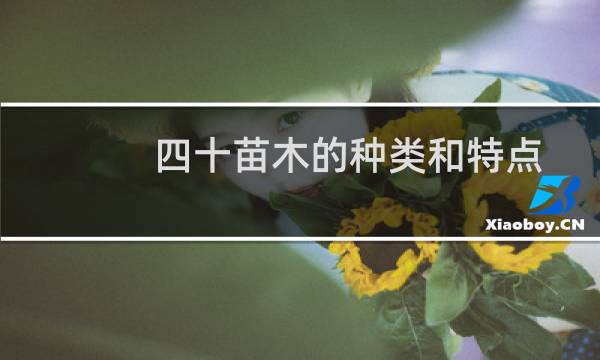 四十苗木的种类和特点