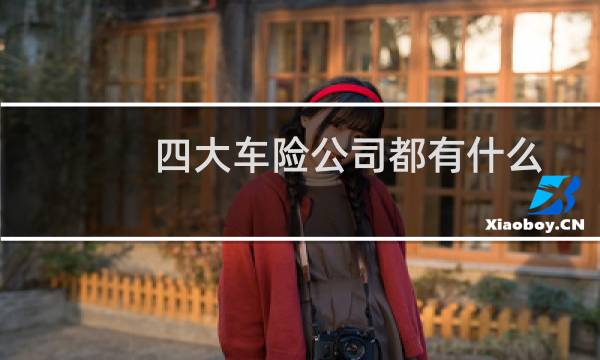 四大车险公司都有什么