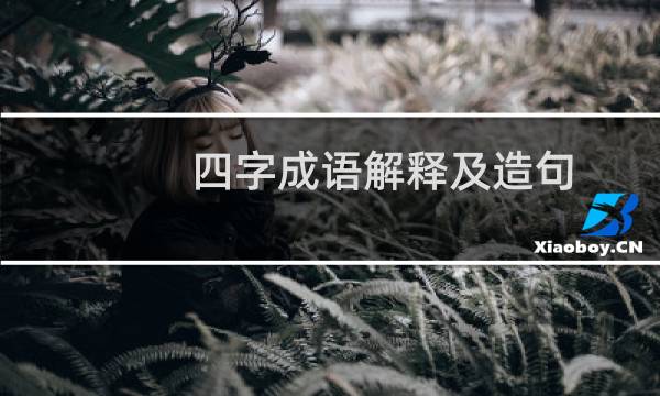 四字成语解释及造句