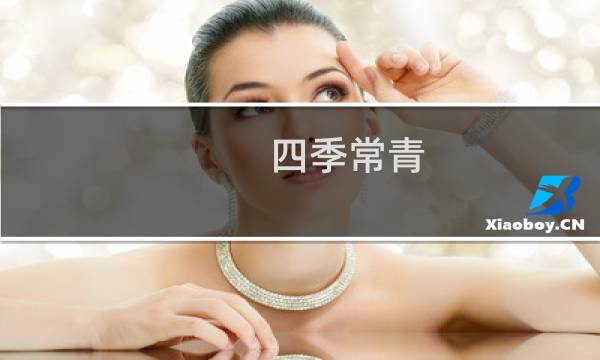 四季常青 多少笔