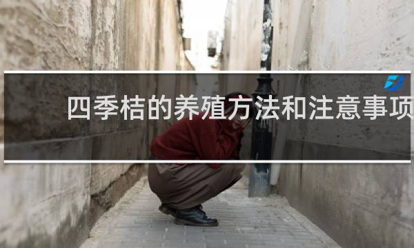 四季桔的养殖方法和注意事项