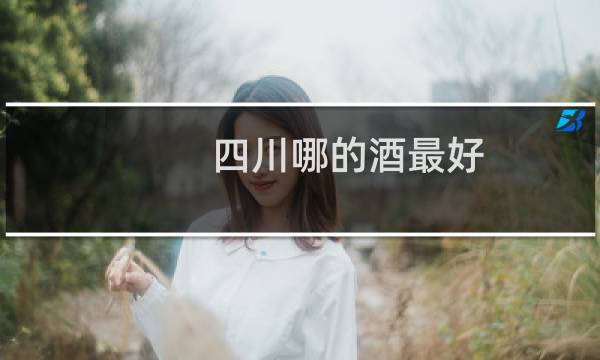 四川哪的酒最好