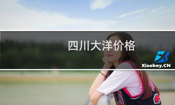 四川大洋价格