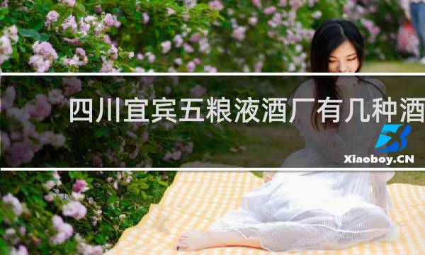四川宜宾五粮液酒厂有几种酒