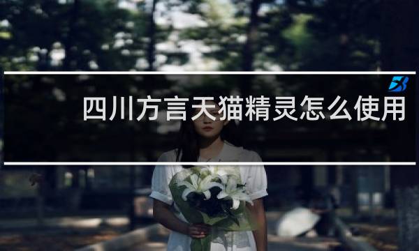 四川方言天猫精灵怎么使用