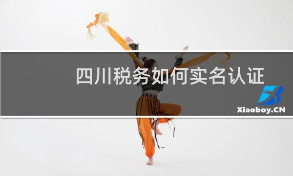 四川税务如何实名认证