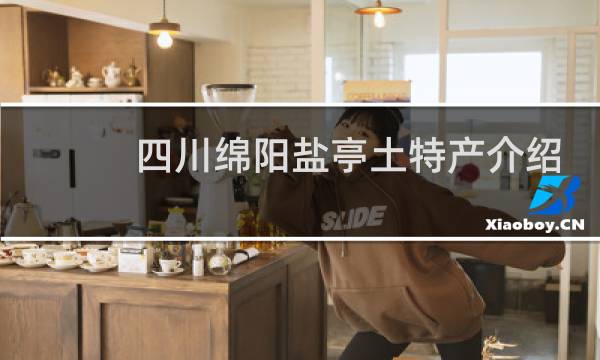 四川绵阳盐亭土特产介绍