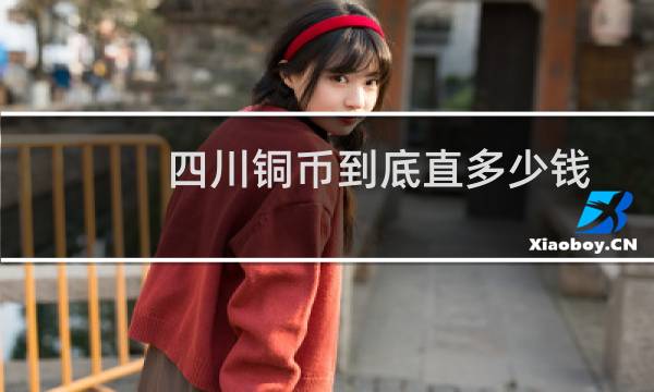 四川铜币到底直多少钱