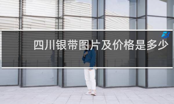 四川银带图片及价格是多少