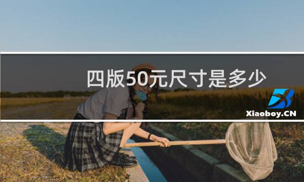 四版50元尺寸是多少
