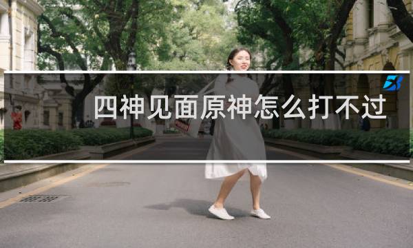 四神见面原神怎么打不过