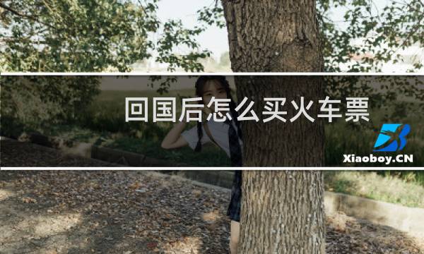 回国后怎么买火车票