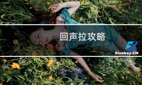 回声拉攻略