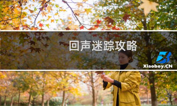 回声迷踪攻略