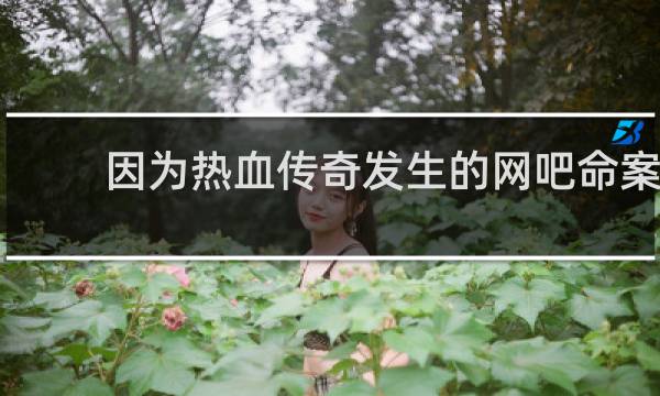 因为热血传奇发生的网吧命案