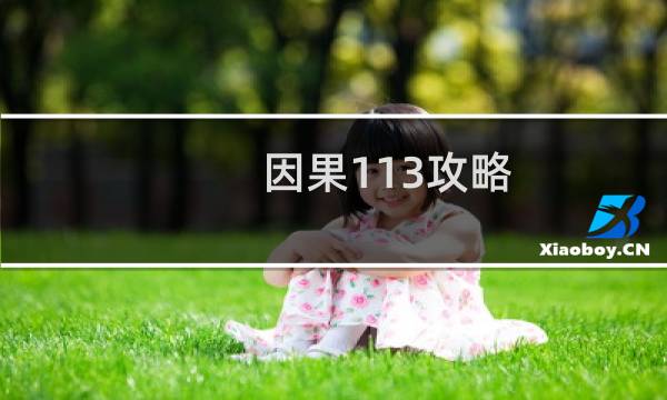 因果113攻略