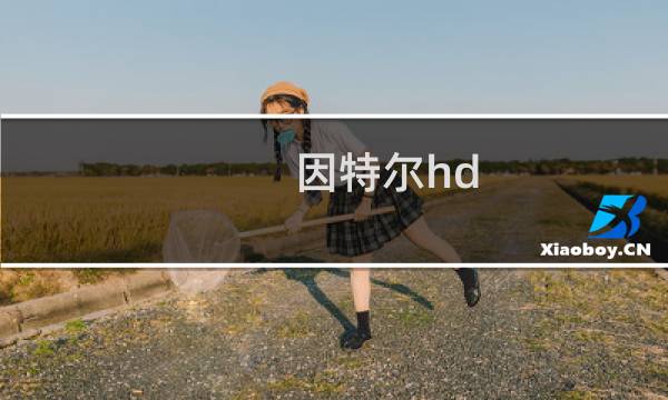 因特尔hd 攻略